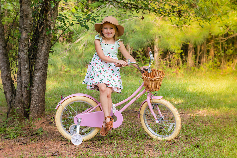Bicycle Maintenance Guide