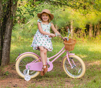 Bicycle Maintenance Guide