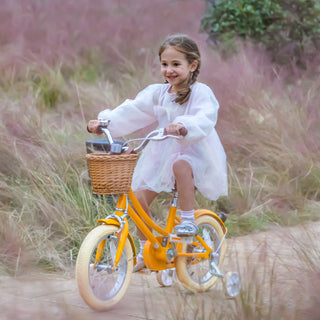 Why Children Need Bicycles