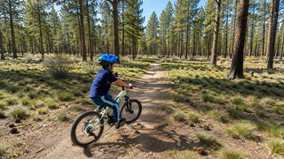 Cruiser vs Mountain Bike: Which One Is Right for You?