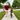 Best Toddler Bikes for 2, 3 and 4 Year Olds
