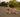 Best 18 Inch Bike for Girls 2026: Size Guide and Top Picks