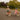 Best 18 Inch Bike for Girls 2026: Size Guide and Top Picks