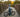 Best Belt Drive Bicycles: Easy, Low-Maintenance Riding