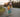 What Size Bike for an 8 Year Old Girl? Complete Size Guide