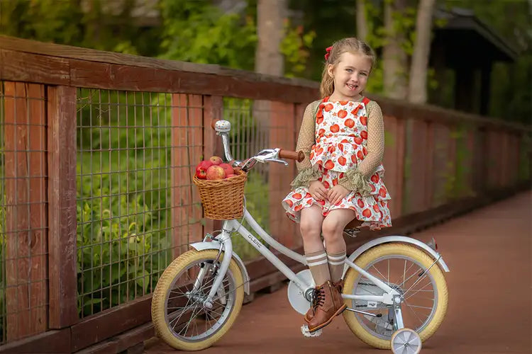 Bicycle Maintenance Guide