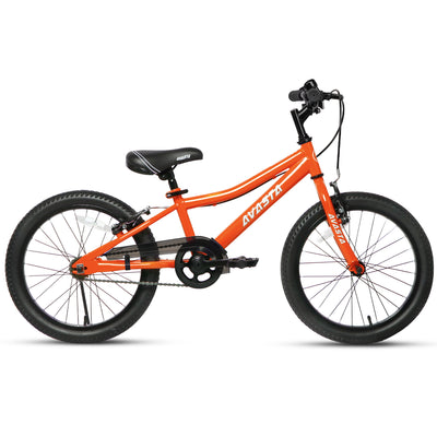 AVASTA 20