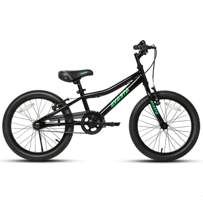 AVASTA 20
