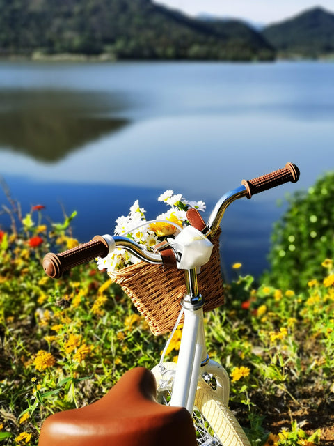 Petimini kids bike