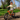 Cheerful boy in a helmet riding an orange BMX-style kids' bike with training wheels in a park