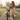 Mom cheering as her excited son raises his arms on a kids' bike with training wheels on a sidewalk