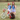 Two smiling girls in patriotic outfits with a white classic kids' bike and chocolate Labrador on the grass